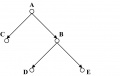 Example of a Full Binary Tree.jpg