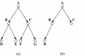 Example of Complete Binary Trees.jpg