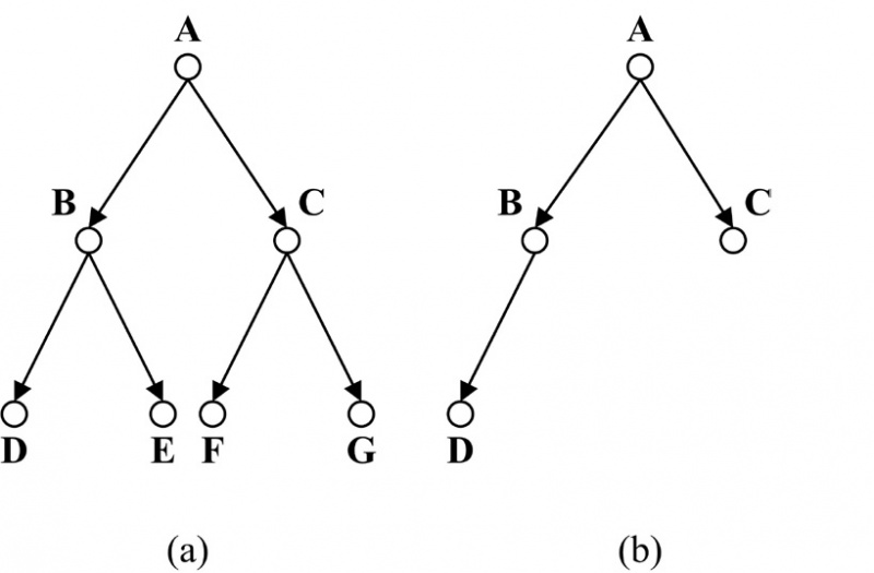File:Example of Complete Binary Trees.jpg